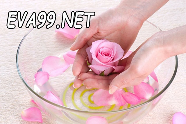 Cách sử dụng nước hoa hồng để trị mụn hiệu quả từ chị em