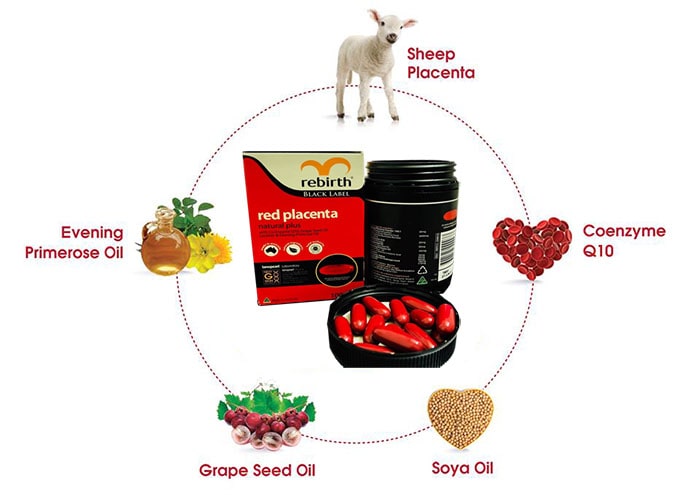 Thành phần của viên uống nhau thai cừu đỏ Rebirth Red Placenta 3000mg: