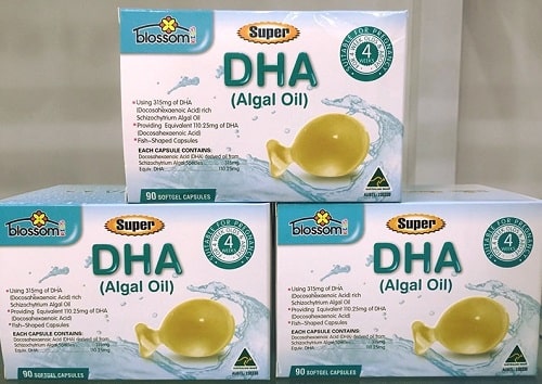 Dầu tảo biển DHA Algal Oil Blossom có tốt không?