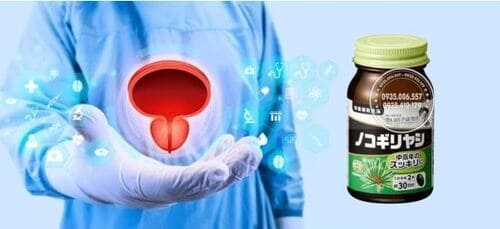 thuốc-saw-palmetto-noguchi-co-tốt-khong-sự-thật-bạn-nen-biết!2