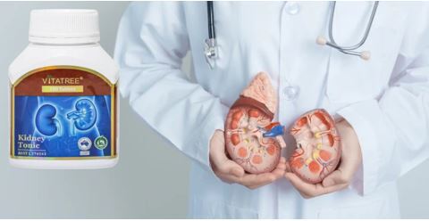 cach-dung-thuoc-bo-than-vitatree-kidney-tonic-hieu-qua-tu-chuyen-gia1